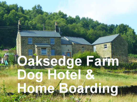 Offering a unique luxury dog boarding service. Dogs rooms are built within a lovely cottage and our home, furnished to a  high standard with cosy beds, comfy sofas and their own TV and underfloor heating. 