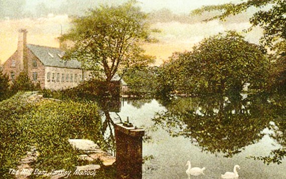 Hand coloured postcard of Scholes Mill and pond