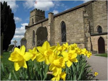 Daffodils at Holy Trinity Church